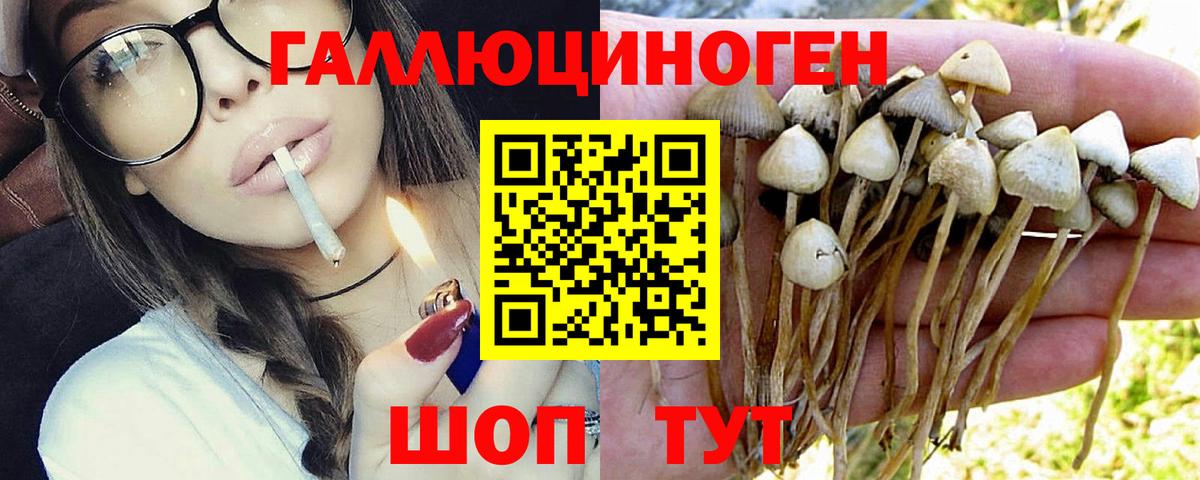 Псилоцибиновые грибы мухоморы  Вход с VPN  Петропавловск-Камчатский  Псилоцибиновые грибы мухоморы 